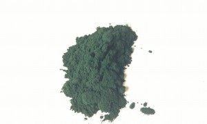 photo1