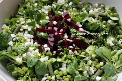 Salade « retour du marché » pour un plein de vitamines !