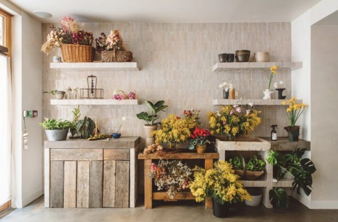 MESA chez HOY Paris : une parenthèse végétale au cœur d’un hôtel yoga